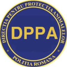 Dolj este judeţul unde se înregistrează cea mai mare concurenţă, fiind depuse 427 de astfel de cereri, pentru cele 12 posturi scoase la concurs. Marcel Vela Dragi Prieteni VÄƒ AnunÈ› È™i Aici Pe Facebook