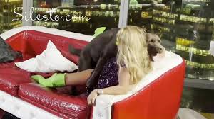 Neon Party - Veronica Silesto - Videos - All Bestiality in one place