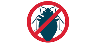 Check spelling or type a new query. Insecticide Punaise De Lit Dire Adieu A L Envahisseur