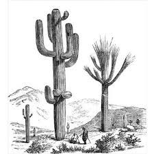 East Urban Home Cactus Duvet Cover Set Cactus Drawing Cactus Illustration Cactus Art