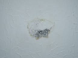 Air traveling through your ductwork can cool the ducts to the point where they act like the cold glass. Buried Ducts Risk Condensation In Humid Climates Energy Vanguard