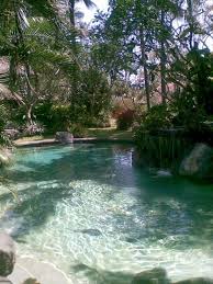 20 Stunning Natural Swimming Pool Ideas For Your Home Yard To Try Tropicalpool Beach Entry Pool Swimming Pool Designs Backyard Pool