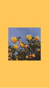 Cute Aesthetic Wallpapers Yellow Wallpapershit Iphone Wallpaper Yellow Sunflower Wallpaper Aesthetic Iphone Wallpaper