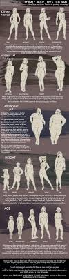 Discover the muscle anatomy of every muscle group in the human body. Female Body Types Tutorial By Phobos Romulus On Deviantart