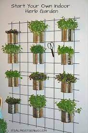 Diy Indoor Vertical Vegetable Garden Indoor Wall Herb Garden Ideas And Solutions Mounted Livi Indoor Herb Garden Indoor Vegetable Gardening Outdoor Herb Garden