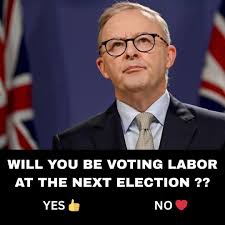 I'm wondering why albo picked Neil Finn to do the job