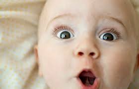 EL GRAN MISTERIO DEL SERENO