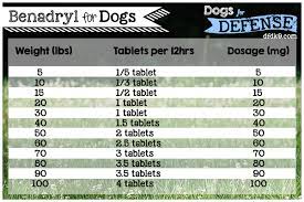 Benadryl Aspirin For Dogs Baby Aspirin For Dogs Medication For Dogs