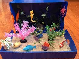 Biome In A Box Project Ocean Biomes Fish Project Google Search Ocean Diorama Ocean Projects Ecosystems Projects