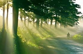 Kết quả hình ảnh cho nắng