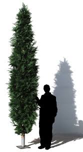Conifer trees have only one main leader or trunk that extends all the way to the top. Plantart Creative Artificial Cypress Trees