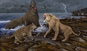 Image result for Astropanax