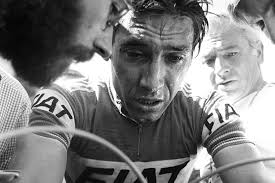 Size a3 only unframed dimensions: Capovelo Com Motivational Quotes From Some Of Cycling S Most Famous Pros