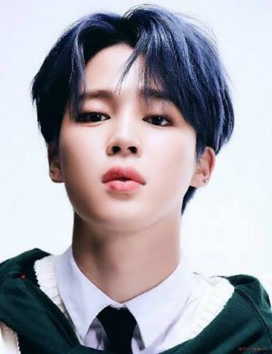 지민(BTS) 사진