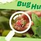 Bug Hunt! — Good Planet event image