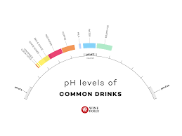 Understanding Acidity In Wine Wine Folly