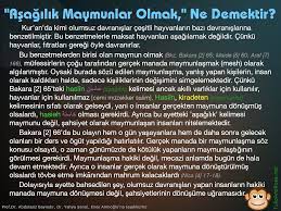asagilik maymunlar olmak ne demektir gercekler tulip sarkilar