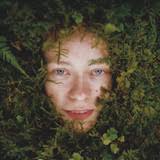 The Beekeeper's Wife