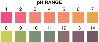 Ph 1 14 Test Strips Single Pad Precision Laboratories