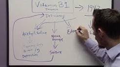 The truth about bone health, and why osteoporosis is not as bad as you might think. Peter Osborne Youtube