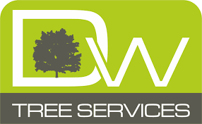 This includes most areas in and around bradford, huddersfield, leeds, wakefield. Tree Surgeon In Huddersfield West Yorkshire Free Quotation