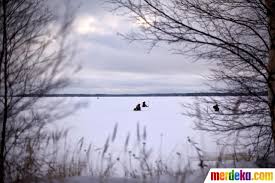 Ikan mewakili sebuah wujud atau bentuk besaran dari kebanggaan yang ingin anda capai. Foto Memancing Di Tengah Laut Bothnia Yang Membeku Merdeka Com