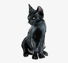oc look at my cat drawing! Tumblr Mmvdromx6f1s5oj6oo1 500 Black Cat Drawing Png 364x690 Png Download Pngkit