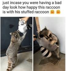 50 Funny Memes And Posts For The Animal Lovers Cute Animals Cute Baby Animals Funny Animal Pictures