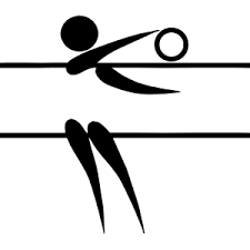 Размер на този png предварителен преглед на изходния svg файл: Galatasaray S K