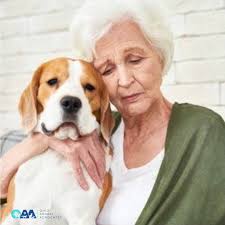 Ohio Animal Advocates