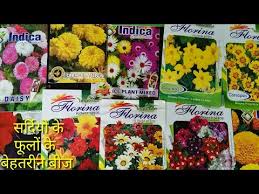 Winter Flowers Seed Best Growing Time 15 September And 15 October Youtube