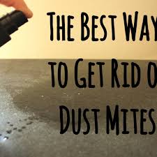 Here's what a toxicologist and green cleaning expert have to say on the matter. 12 Guaranteed Ways To Get Rid Of Dust Mites In Your House Dengarden