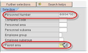 What Is Wage Type Reporter Sap Reports Sap Hr Sap