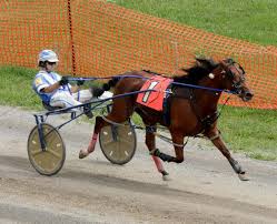 Brown earns 1000th career victory at Clearfield County Fair