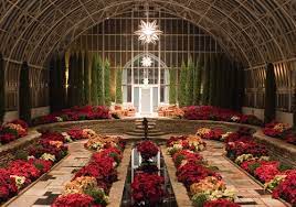The Sunken Garden At The Como Park Zoo Conservatory Sunken Garden Wedding Dreamer Wedding Phone