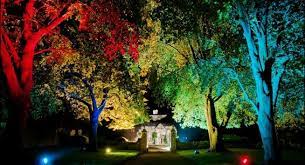 Pin On Garden Yard Deck Patio Roof Porch