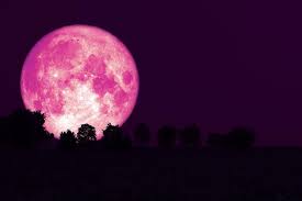 During the april full moon tonight and early tuesday, the moon will be about 222,064 miles april full moon is also called the pink moon, but it has nothing to do with its color. Pink Supermoon Set To Dazzle Vancouver Skies This April Vancouver Is Awesome