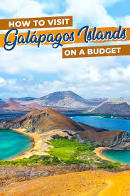 How To Visit Galapagos Islands On A Budget Ecuador Travel Galapagos Islands Galapagos