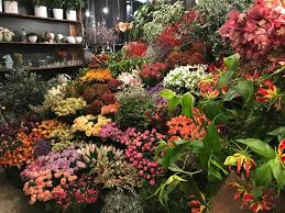 We did not find results for: No Fleur Royale Flowered By Peter Boeijkens Facebook