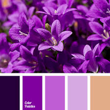A beautiful pairing of brown offers up serious professionalism. Brown And Purple Color Palette Ideas