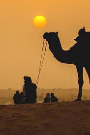 I saw the video a couple weeks ago for the first time and your dad posting it with captions of how proud he was made me tear up a bit. 18 Sahara Desert North Africa Ideas Desert Life Deserts Of The World Sahara Desert