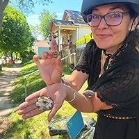 Sewing Stories: Harriet Powers' Journey from Slave to Artist by Barbara  Herkert