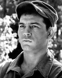 Robert Forster Movies & TV Shows List