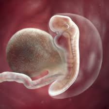 Newborns prefer to look at faces over other. 5 Weeks Pregnant Symptoms Cramping More Babycenter