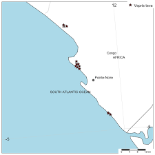 Image result for Dissotis congolensis