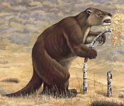 Human Caused Extinctions Prehistoric Animals Extinct Animals Prehistoric Creatures