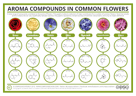 2018 stevie silver winner · satisfaction guarantee The Chemical Compounds Behind The Smell Of Flowers