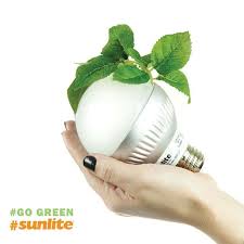 Go Green Sunlite Gogreen Green Lighting Lightbulb Bulb Led Incandescent Hand White Plant