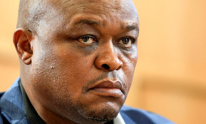 Brown Mogotsi slammed as a liar as 'fanciful' testimony faces  cross-examination