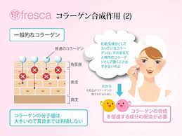 コラーゲン合成作用 ２ コラーゲンは化粧品にもよく入れられますが これは保湿効果を狙ったものです コラーゲン分子は水をたくさん吸着できる性質 形状をしています そして コラーゲンの分子量は30万と大きいので 皮膚のバリアを突破して真皮まで浸透させる